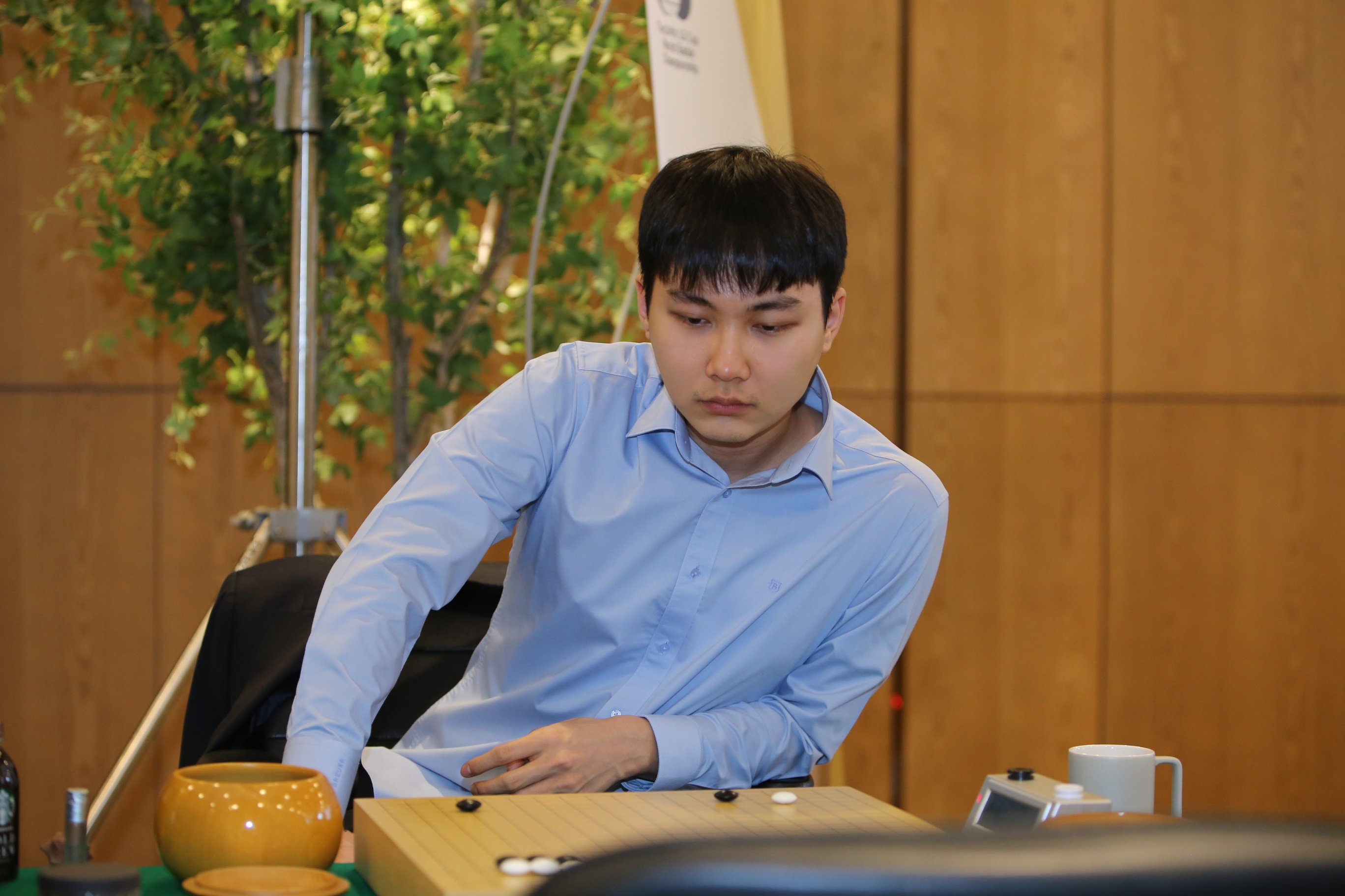 朴廷桓(朴廷桓杨楷文)